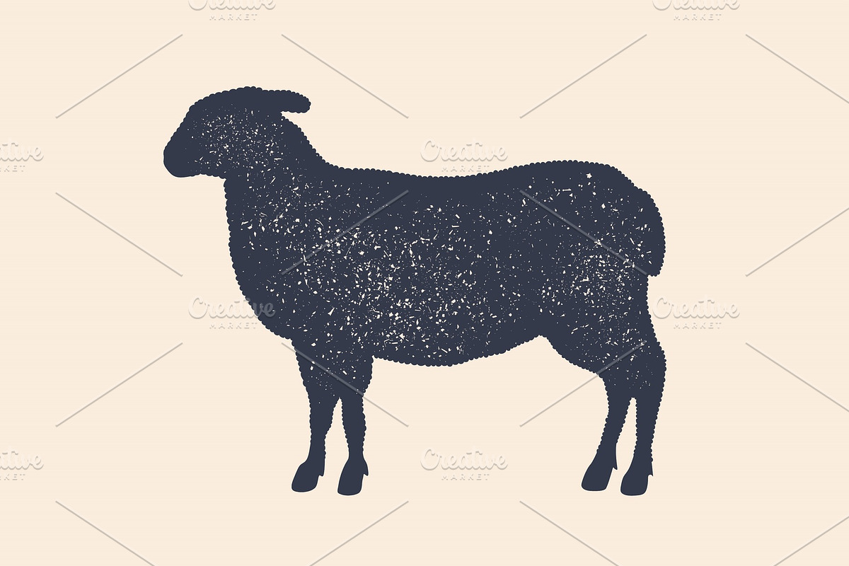 Lamb, sheep. Vintage logo, retro in Illustrations - product preview 8