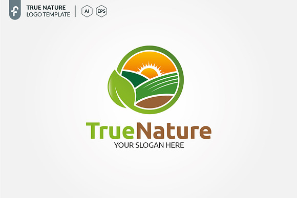 True Nature Logo in Logo Templates - product preview 2