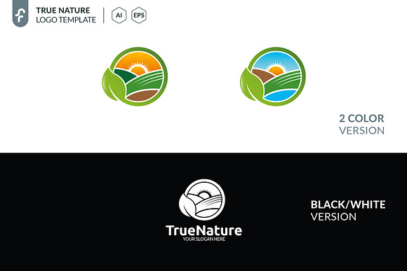 True Nature Logo in Logo Templates - product preview 4