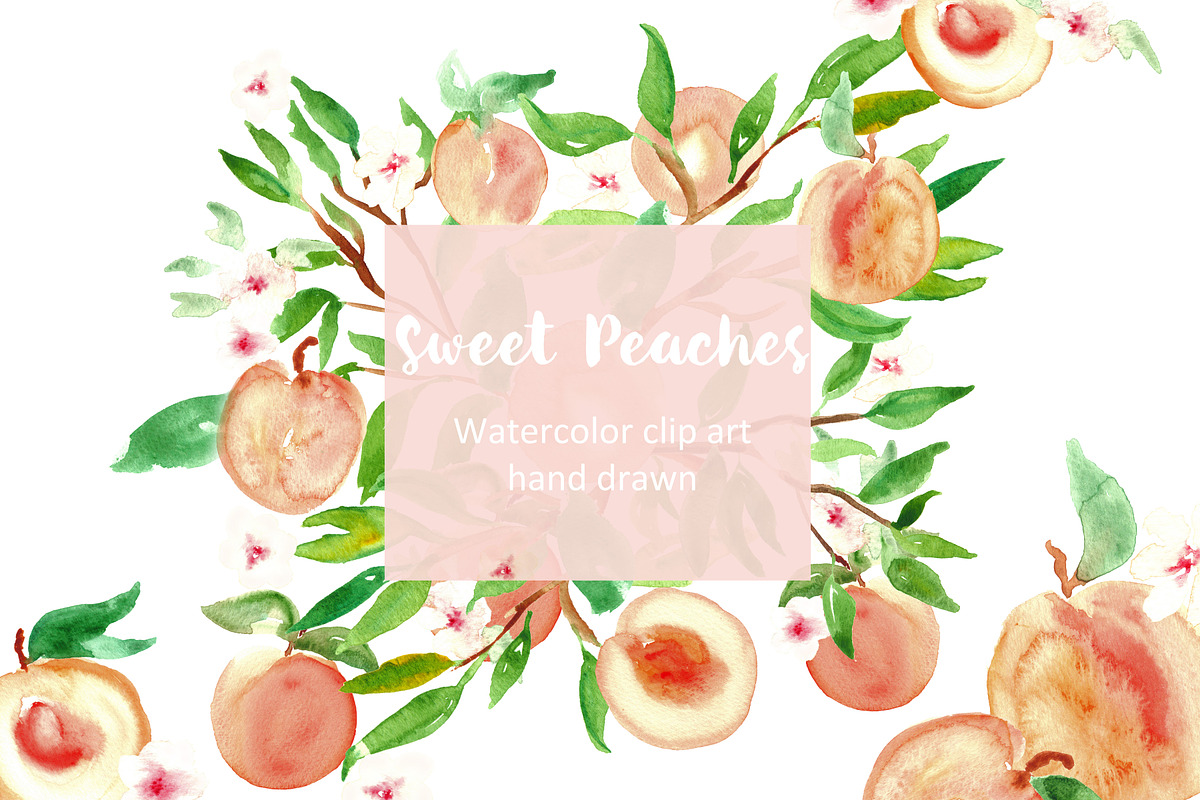 Peach. Watercolor clip art. in Graphics - product preview 8
