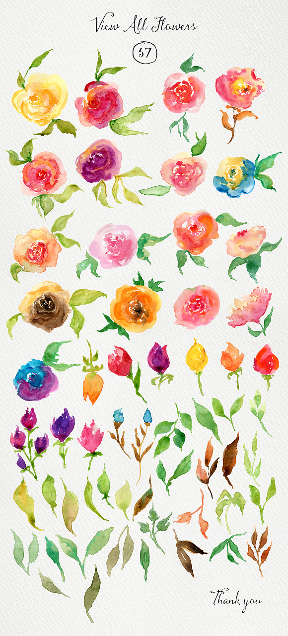 Watercolor Roses DIY in Illustrations - product preview 1