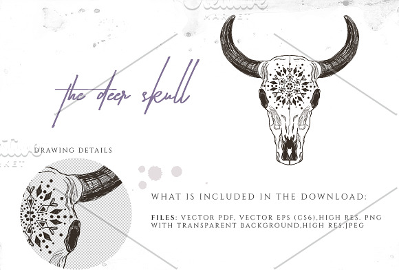 Bohemian Deer Skull in Illustrations - product preview 1