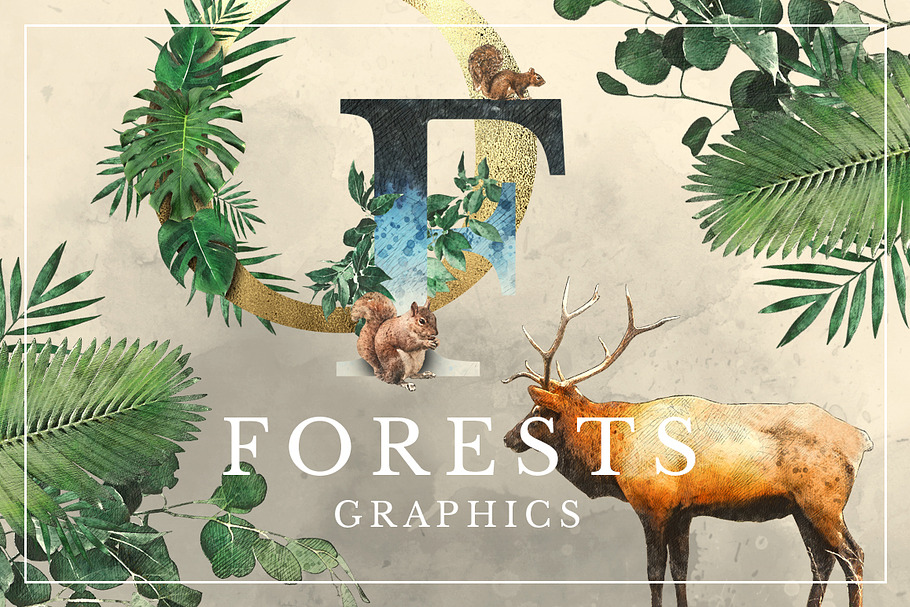 Forest Graphics Designer Kit in Illustrations - product preview 8