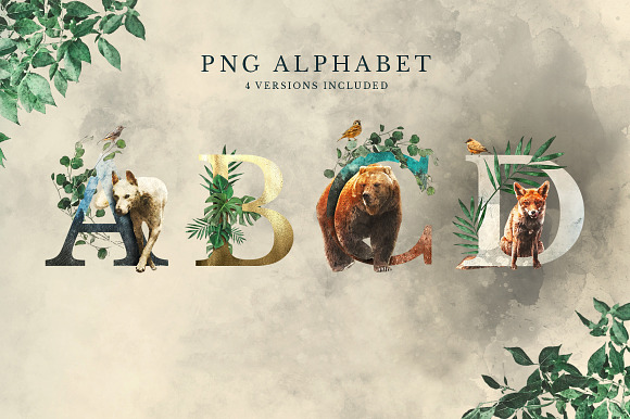 Forest Graphics Designer Kit in Illustrations - product preview 1