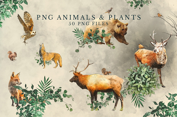 Forest Graphics Designer Kit in Illustrations - product preview 2