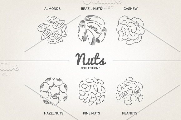 12 Nuts - illustration & patterns in Illustrations - product preview 1