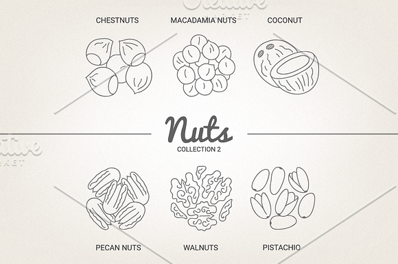 12 Nuts - illustration & patterns in Illustrations - product preview 2