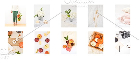 Fall, Autumn Pumpkin Photo Bundle in Social Media Templates - product preview 3