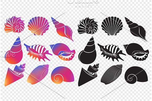 Sea shells silhouettes set