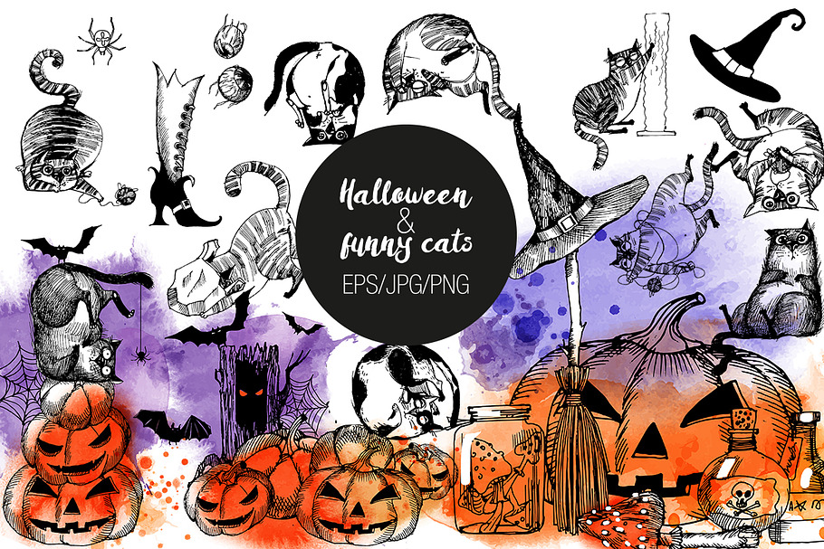 Hallowenn and funny cats