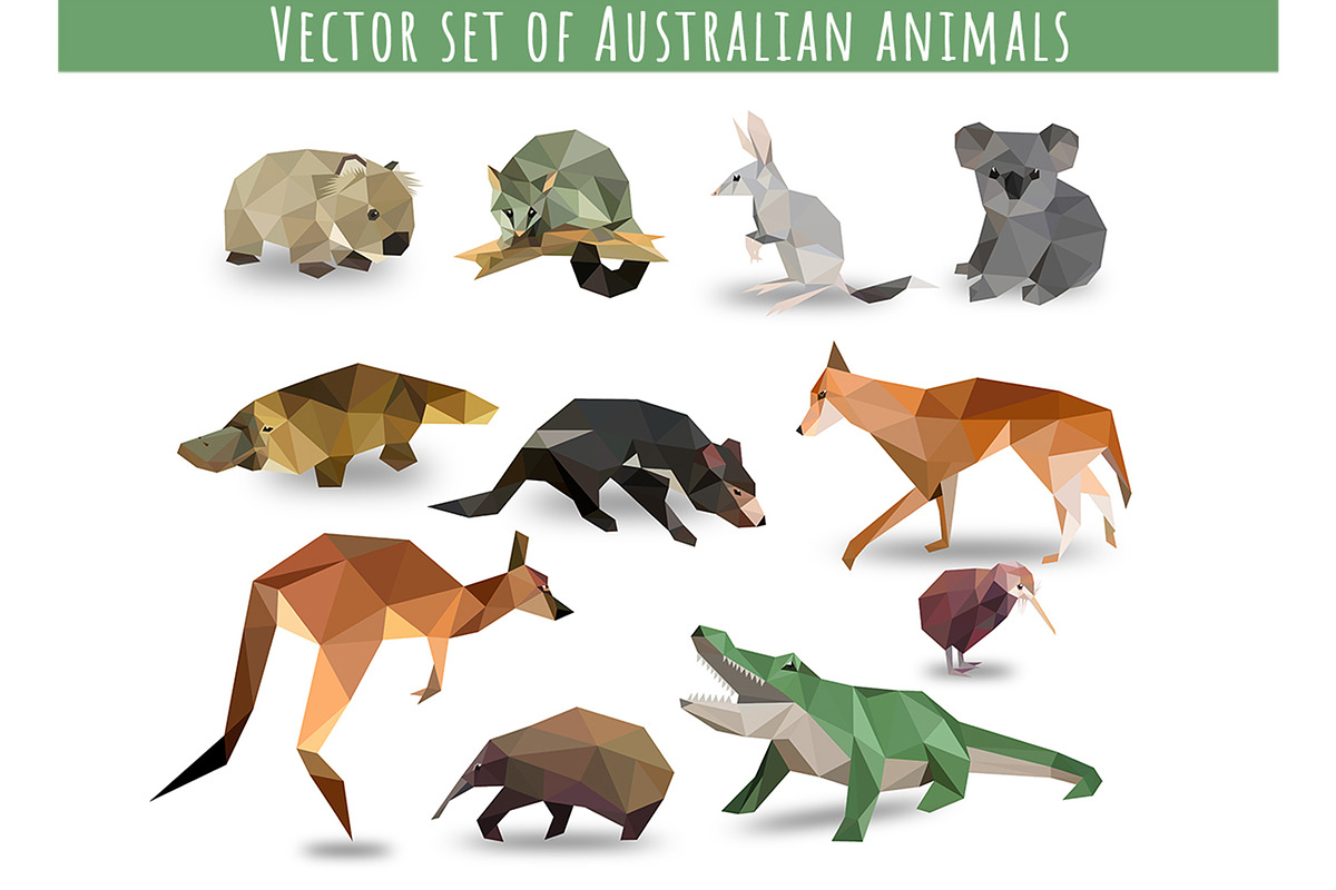 Vector set of Australian animals in Illustrations - product preview 8