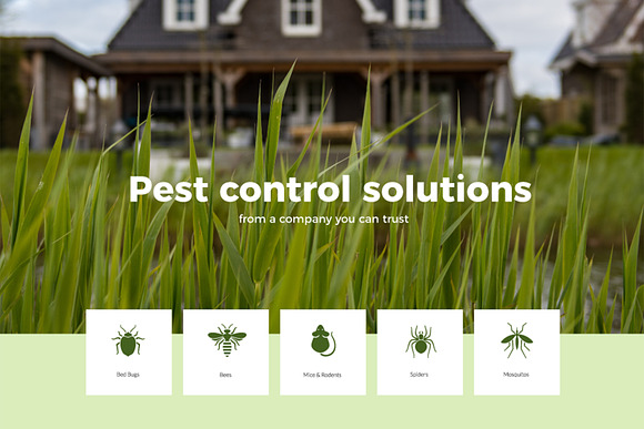 Pest Control Icon set in Animal Icons - product preview 2