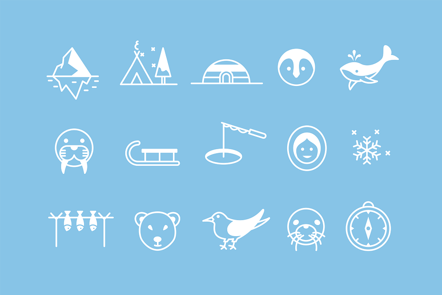 15 Arctic Icons in Icons - product preview 8