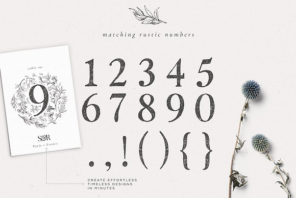 Country Botanicals & Monograms in Illustrations - product preview 21