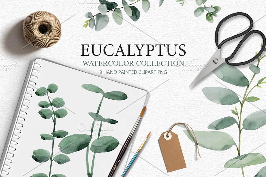 Eucalyptus collection in Illustrations - product preview 8