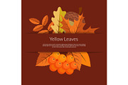 Vector cartoon autumn elements and