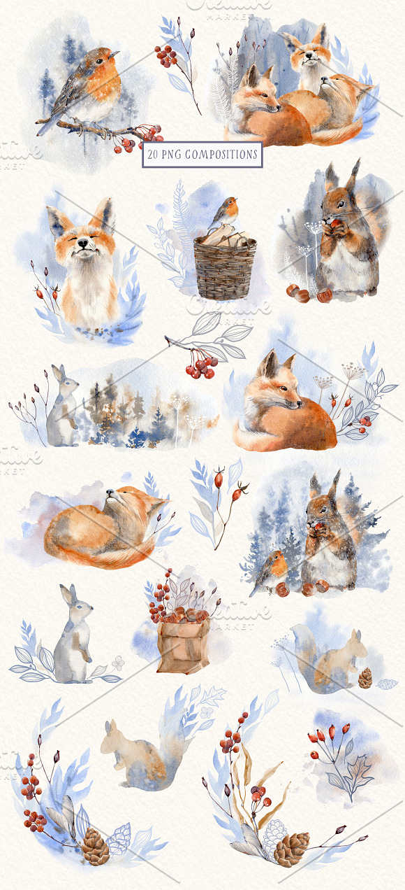 ONCE IN THE FOREST Winter set in Illustrations - product preview 1