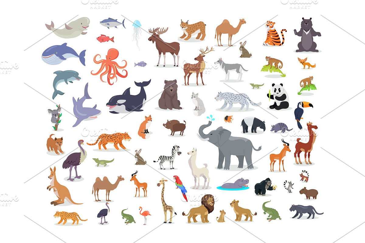 Big Set of World Animal Species in Illustrations - product preview 8