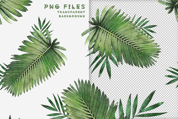 Plants & Foliage Patterns in Patterns - product preview 15