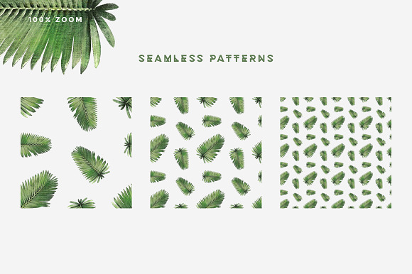 Plants & Foliage Patterns in Patterns - product preview 16