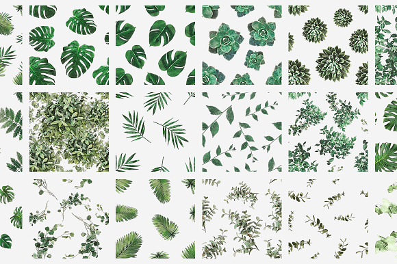 Plants & Foliage Patterns in Patterns - product preview 17