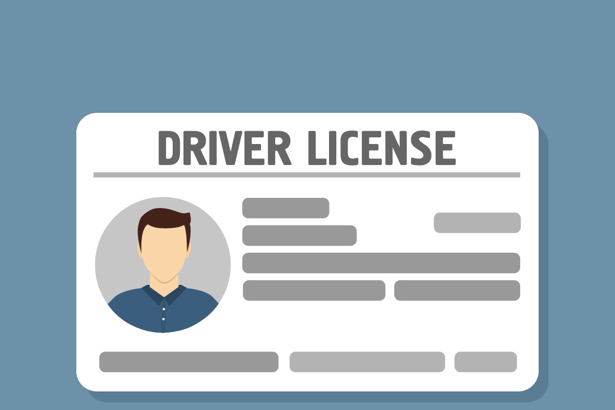 Car driver license identification  in Illustrations - product preview 8
