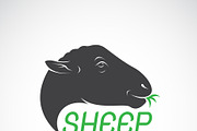 Vector of sheep head design. Animals