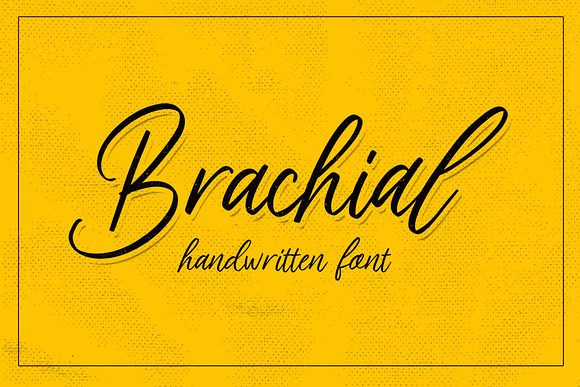 Brachial Font - 30%OFF in Script Fonts - product preview 7