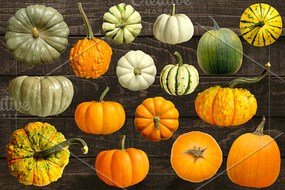 Pumpkins & Gourds - 33 Realistic in Objects - product preview 2