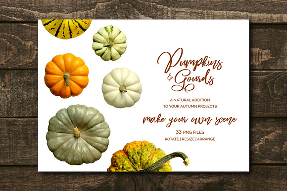 Pumpkins & Gourds - 33 Realistic in Objects - product preview 3
