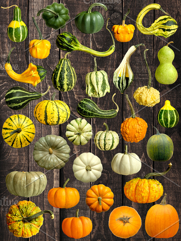 Pumpkins & Gourds - 33 Realistic in Objects - product preview 5