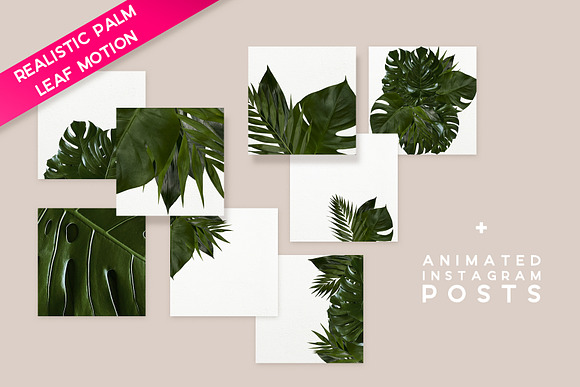 animated urban jungle | greenery in Instagram Templates - product preview 3