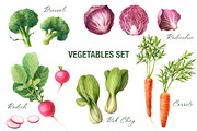 Vegetables Pencil Illustration Set