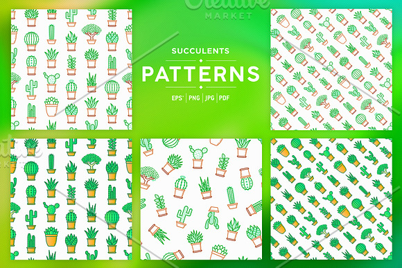 Succulents Patterns Collection in Patterns - product preview 4