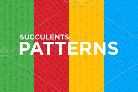 Succulents Patterns Collection in Patterns - product preview 5