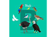 Birds with Letter B Isolated. ABC