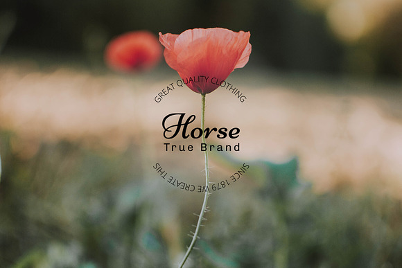 Clothing Logo - Horse in Logo Templates - product preview 11