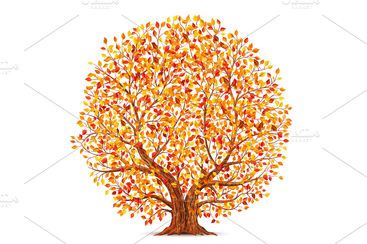 Autumn tree isolated in Illustrations - product preview 8