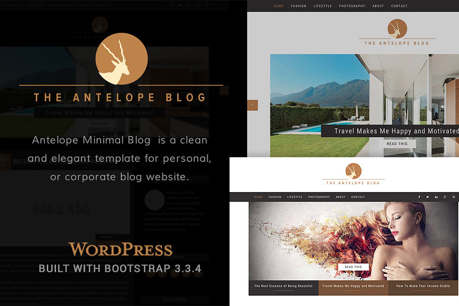 Antelope Minimal WordPress Blog in WordPress Blog Themes - product preview 8
