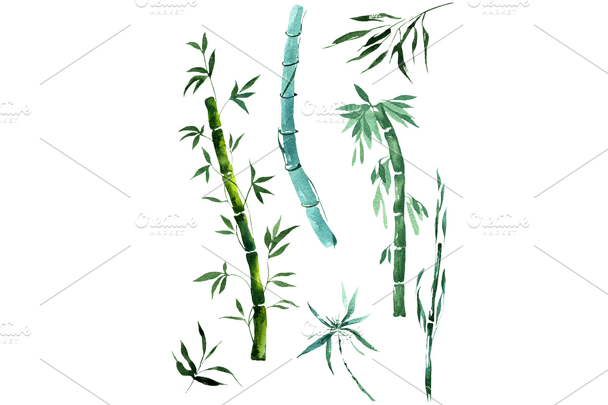 Exotic bamboo PNG watercolor set in Illustrations - product preview 8