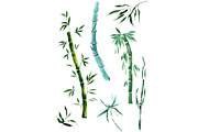 Exotic bamboo PNG watercolor set