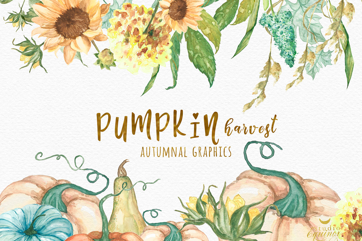 Pumpkin Harvest - Autumnal Graphics in Objects - product preview 8