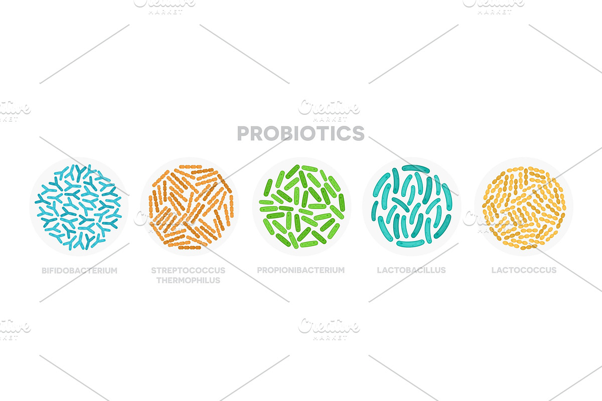 Set of probiotic bacteria in Objects - product preview 8
