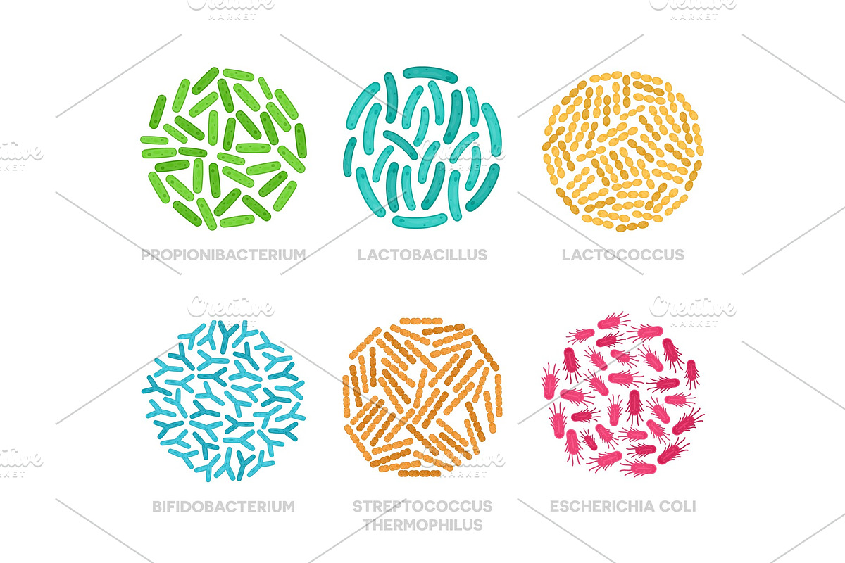Probiotic bacteria in a circle in Objects - product preview 8