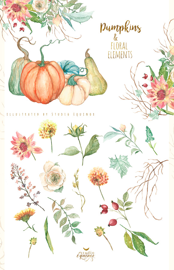 Pumpkin Harvest - Autumnal Graphics in Objects - product preview 2