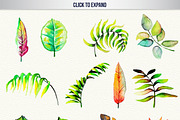 50 High Res Watercolor Leaves