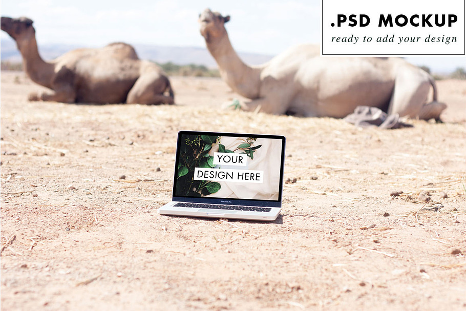 Laptop Camels Desert Web PSD Mockup