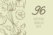 Garlic, vector
