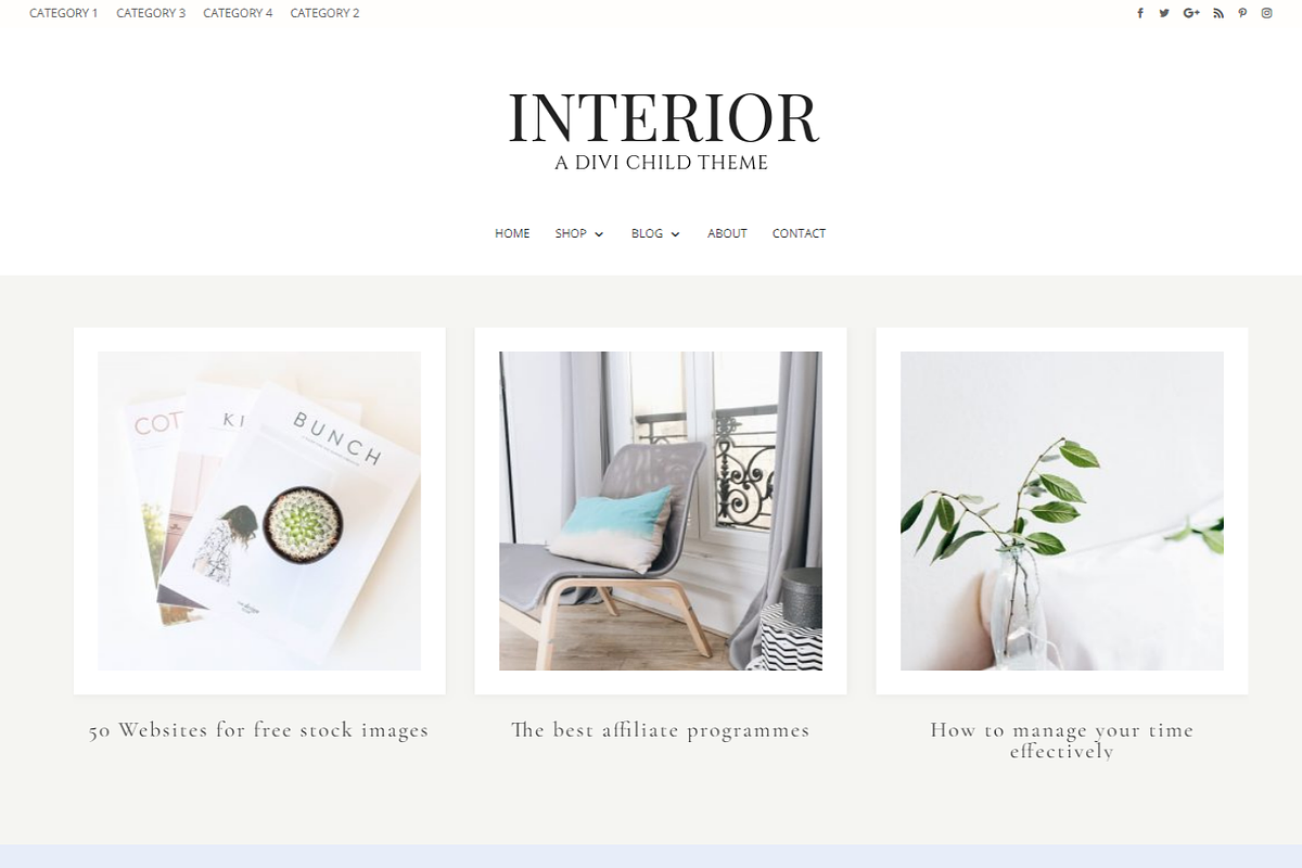 Interior - Divi WordPress Blog Theme in WordPress Blog Themes - product preview 8