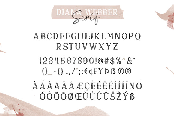 Diana Webber - SVG Font Duo in Professional Fonts - product preview 11